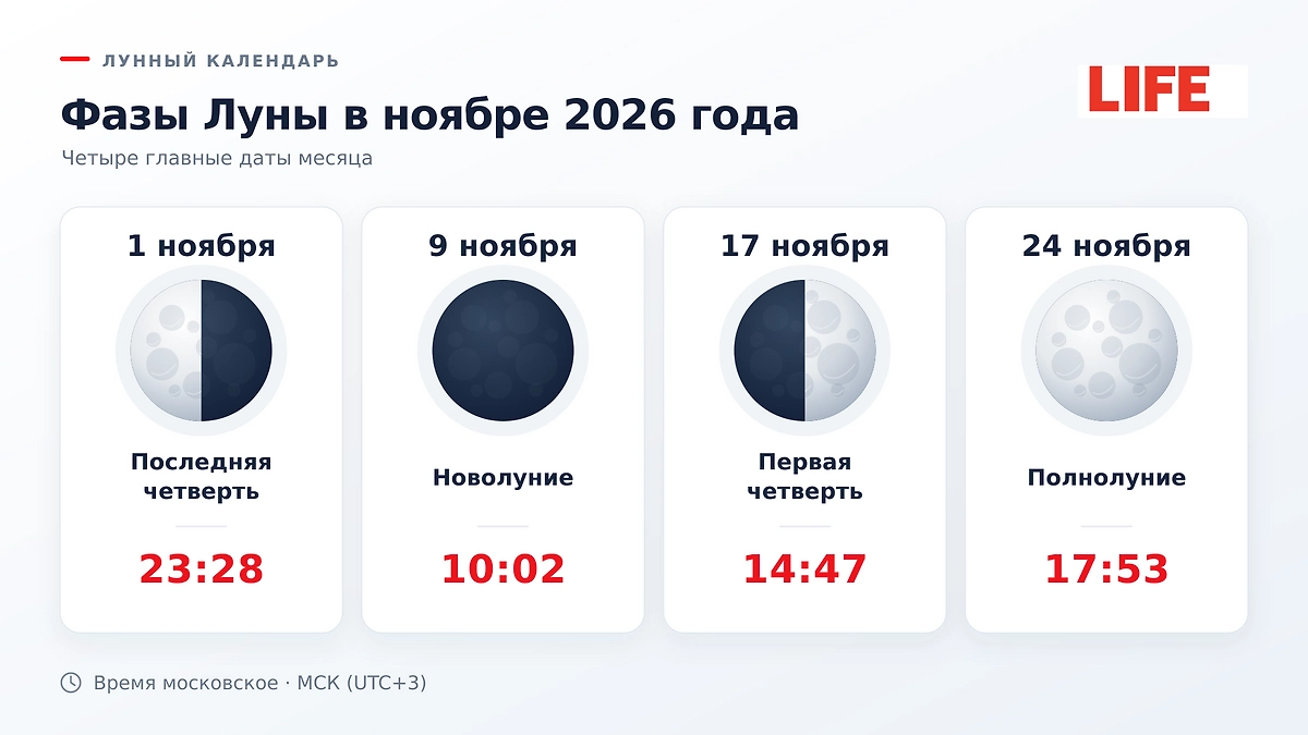Фазы Луны в ноябре 2026 года: лунный календарь на весь ноябрь 2026. ИИ-иллюстрация: создано редакцией Life.ru с использованием ChatGPT (OpenAI)