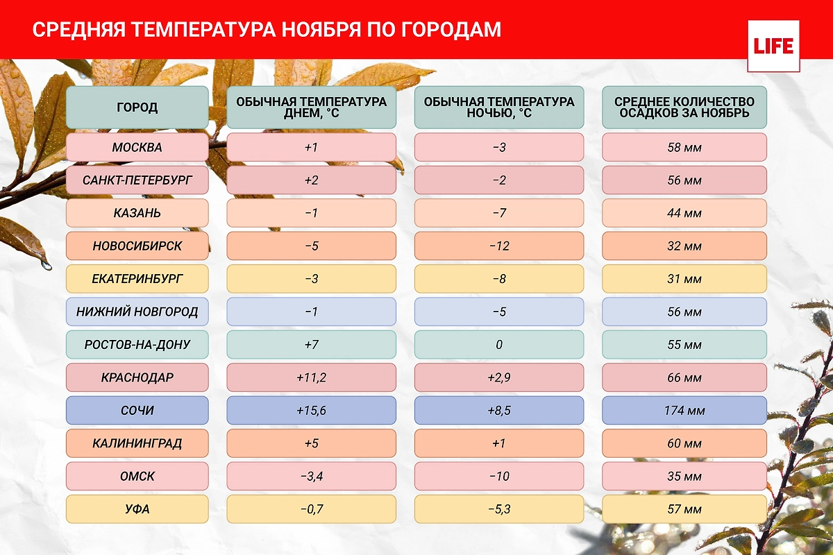 Средняя температура ноября по городам. Инфографика © Life.ru 