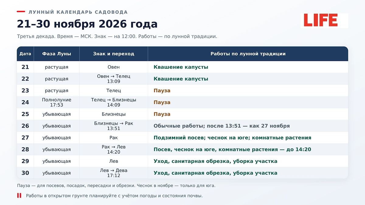 Лунный календарь садовода на 21–30 ноября 2026: когда сеять под зиму, ухаживать за растениями и убирать сад? ИИ-иллюстрация: создано редакцией Life.ru с использованием ChatGPT (OpenAI)
