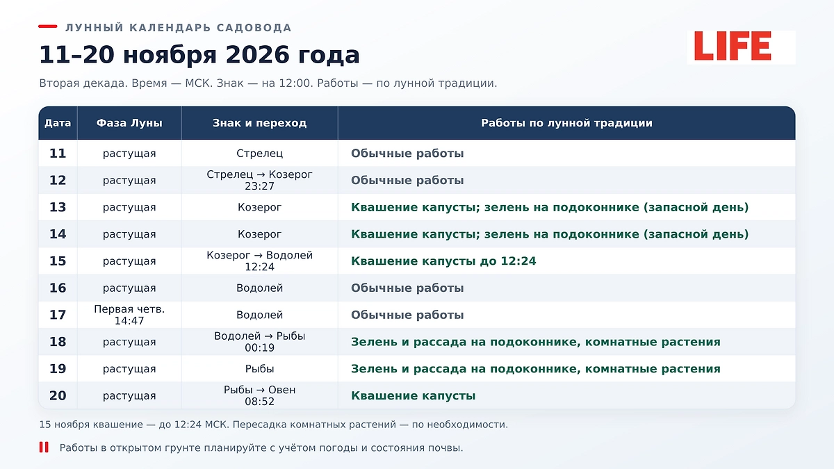 Лунный календарь садовода на 11–20 ноября 2026: когда сеять зелень на подоконнике и квасить капусту дома? ИИ-иллюстрация: создано редакцией Life.ru с использованием ChatGPT (OpenAI)