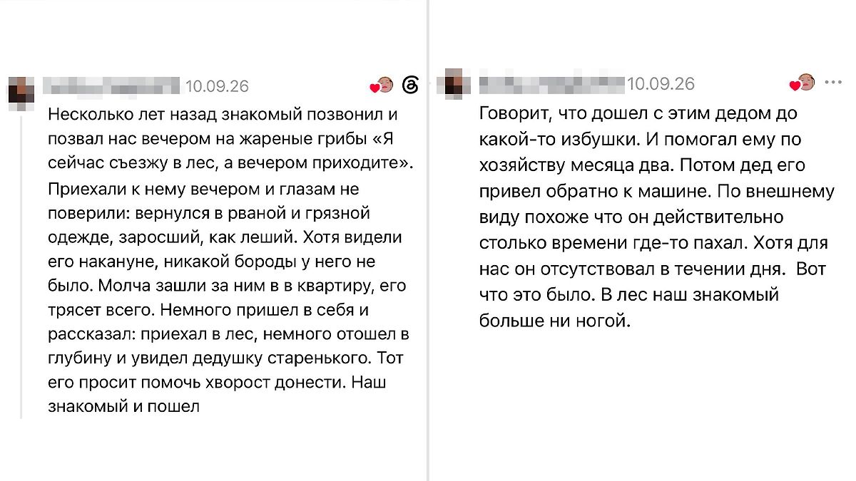 Дедушка в лесной избушке: история из Threads о грибнике, для которого один день обернулся двумя месяцами. © Threads