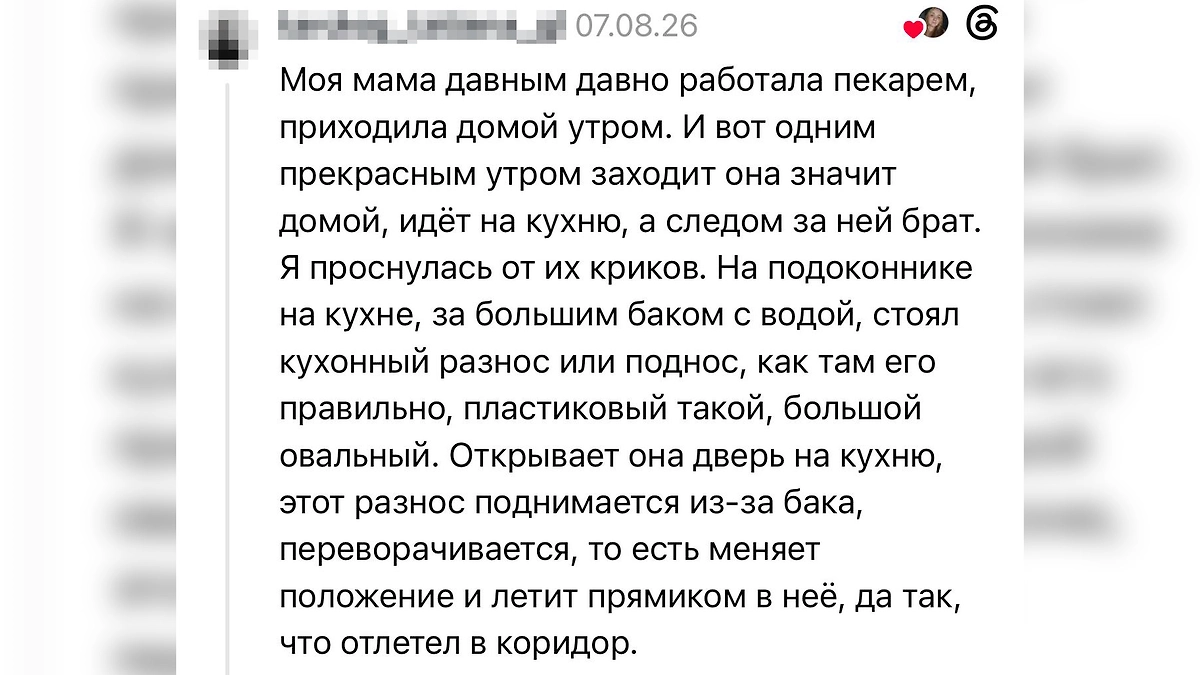 Летающий поднос на кухне: история из Threads о странном происшествии, свидетелями которого стали мать и сын. © Threads