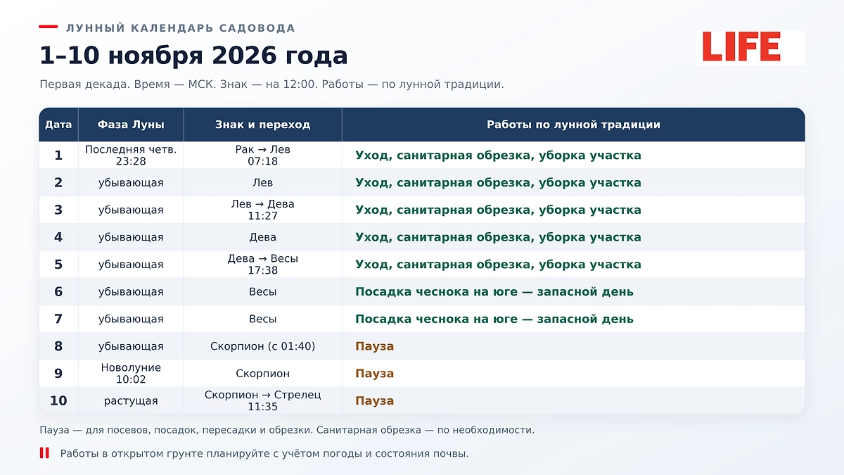 Лунный календарь садовода на 1–10 ноября 2026: когда заняться уборкой участка и посадить чеснок на юге? ИИ-иллюстрация: создано редакцией Life.ru с использованием ChatGPT (OpenAI)