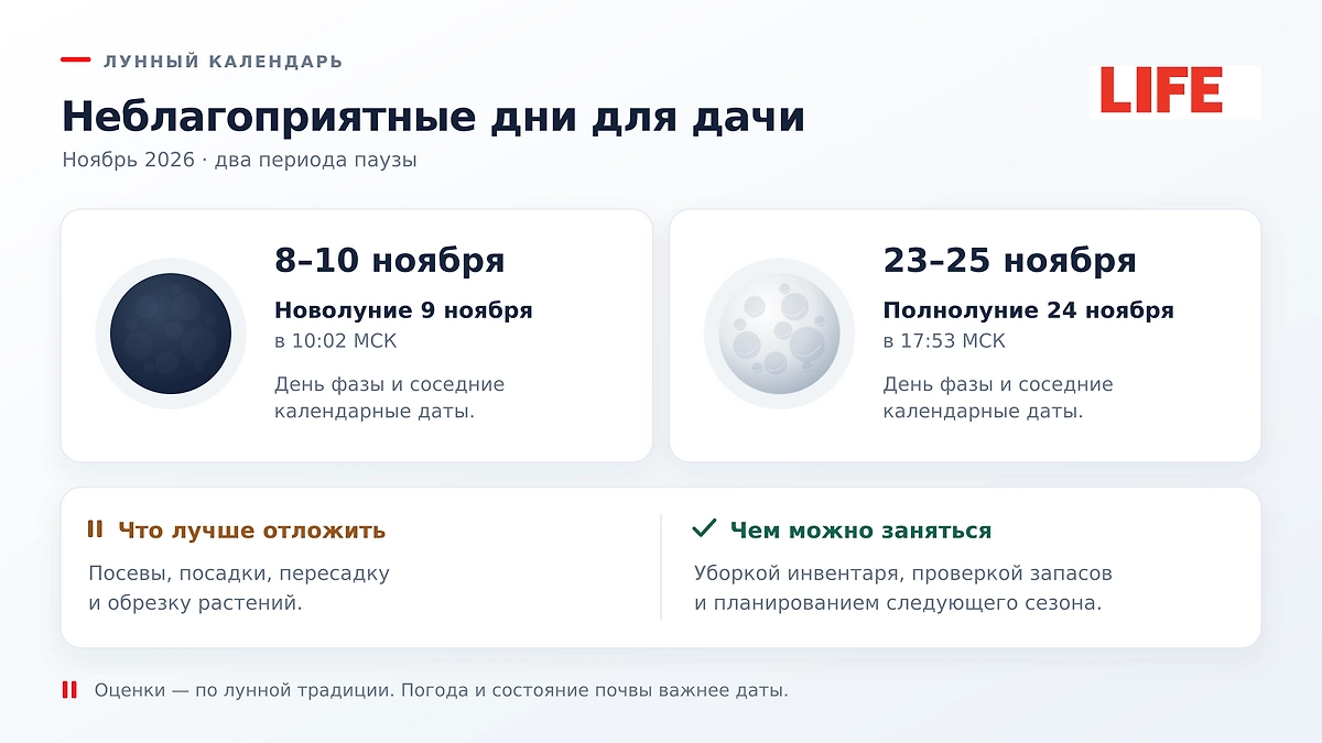 Неблагоприятные дни по лунному календарю на ноябрь 2026: когда садоводам лучше отложить посевы и обрезку? ИИ-иллюстрация: создано редакцией Life.ru с использованием ChatGPT (OpenAI)