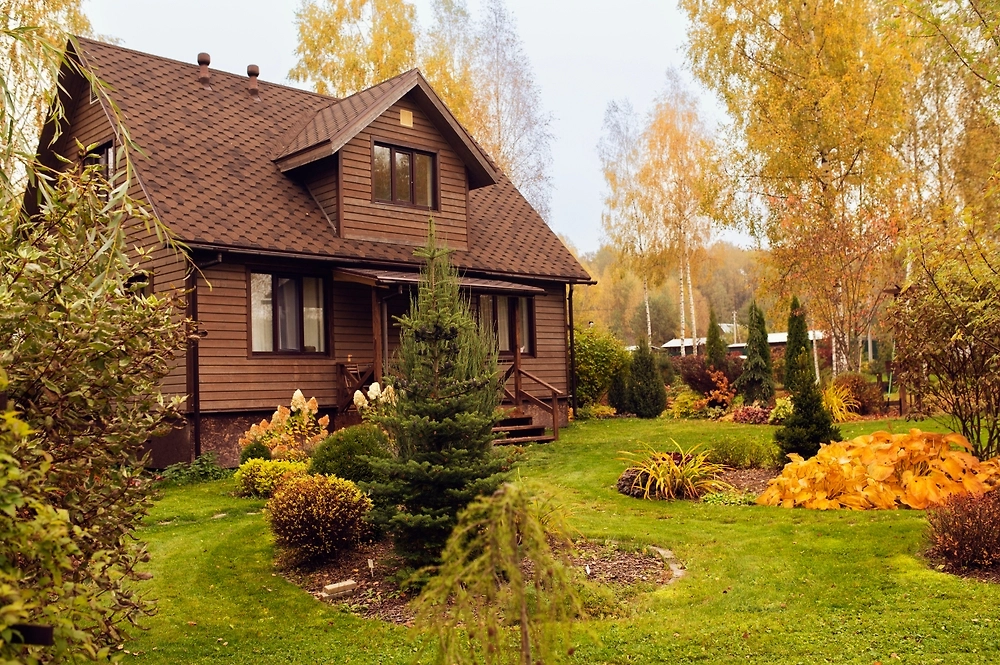 Обложка © Shutterstock / FOTODOM / Maria Evseyeva