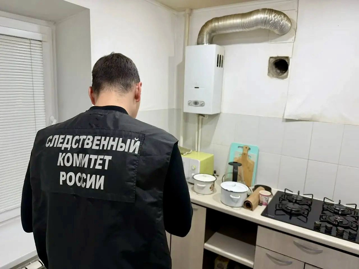 Обложка © Telegram / Следком 64