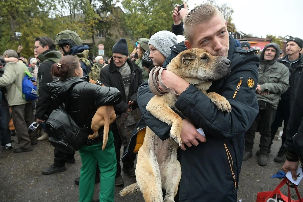 Обложка © Life.ru
