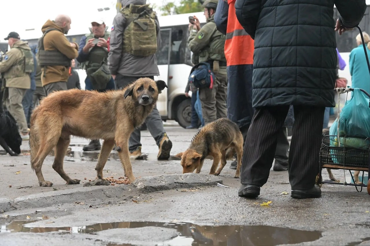 Обложка © Life.ru