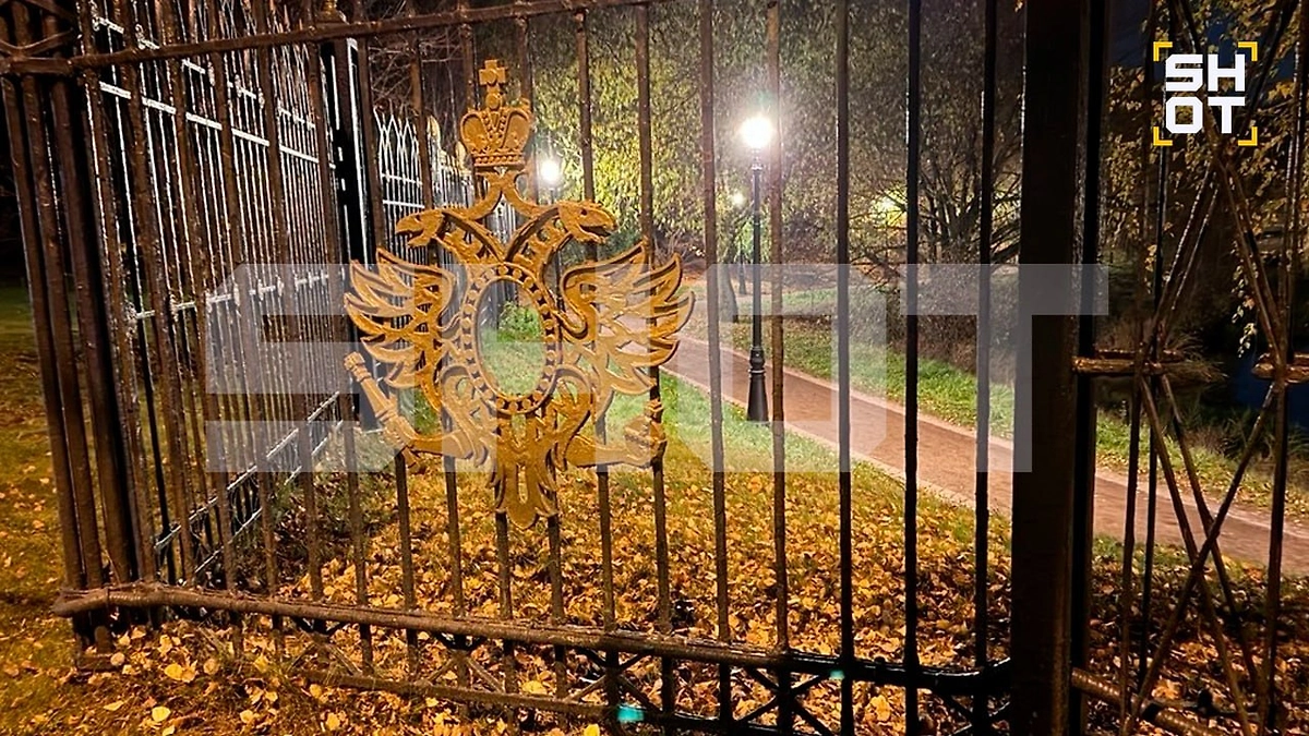 Обстановка у «Царицыно». Фото © Telegram / SHOT