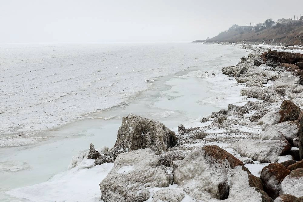 Обложка © ТАСС / Алексей Коновалов