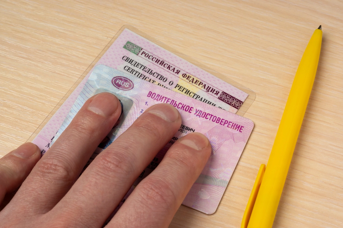 Обложка © Shutterstock / FOTODOM / Sergei Gorin