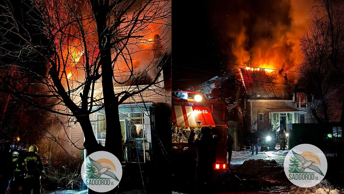 Пожар в зоопарке во Владивостоке. Коллаж © zoopark-vl.ru