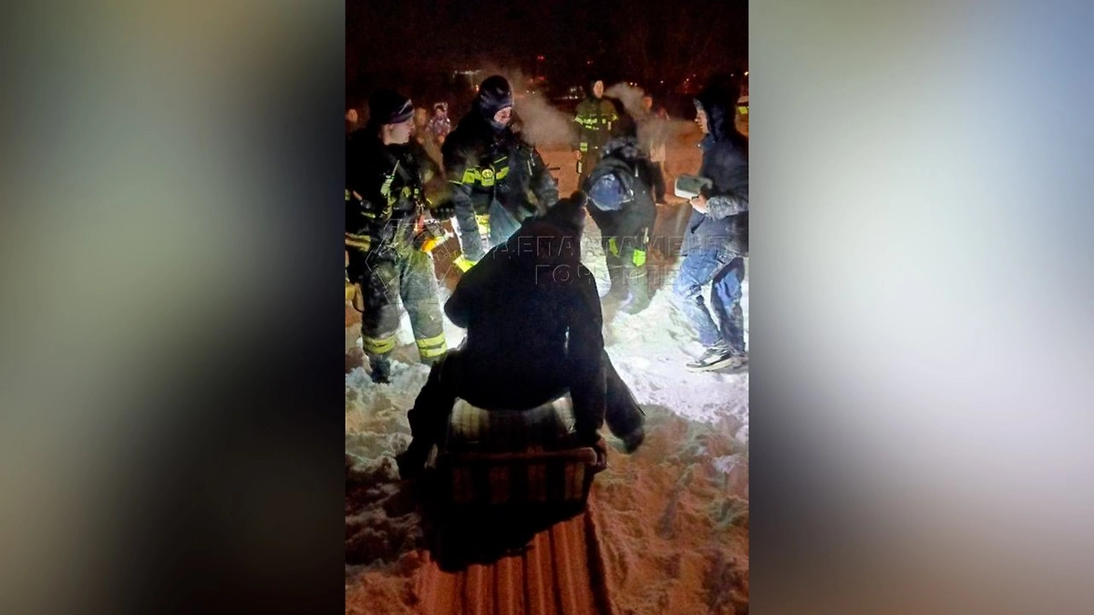 Спасатели вывели из московского леса девушку, которой стало плохо. Фото © Telegram / ЧСтные новости Москвы