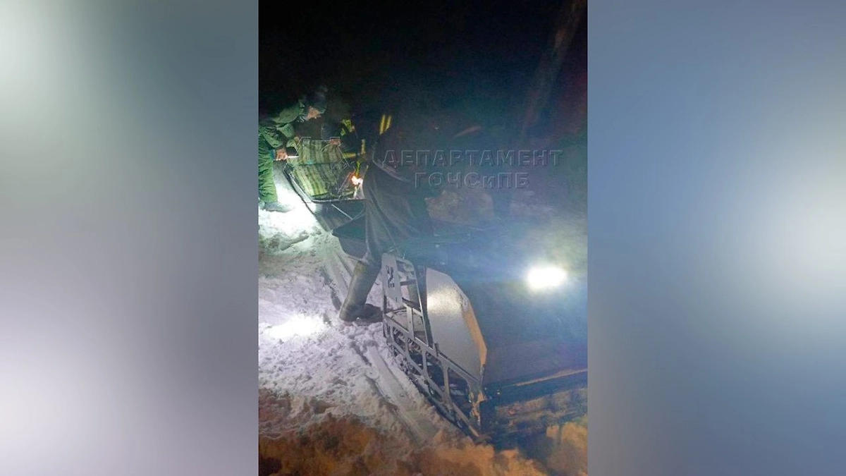 Спасатели вывели из московского леса девушку, которой стало плохо. Фото © Telegram / ЧСтные новости Москвы