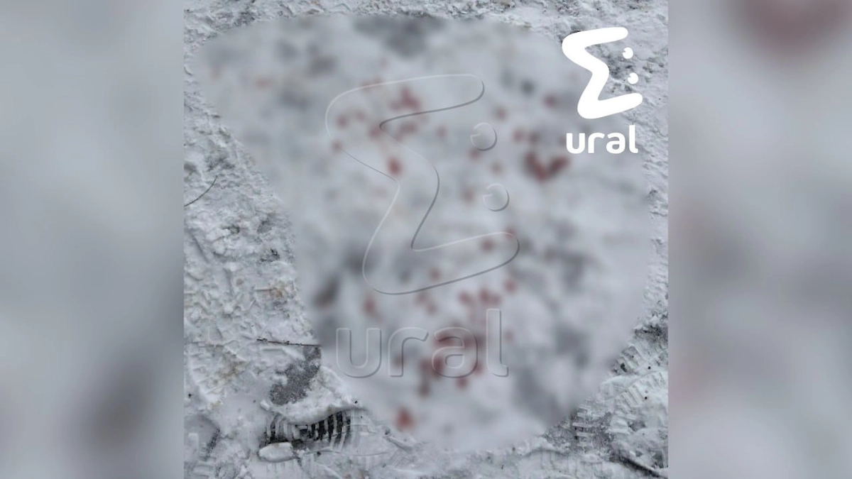 Место взрыва петарды, из-за которого пострадал подросток в Тюмени. Фото © Ural Mash