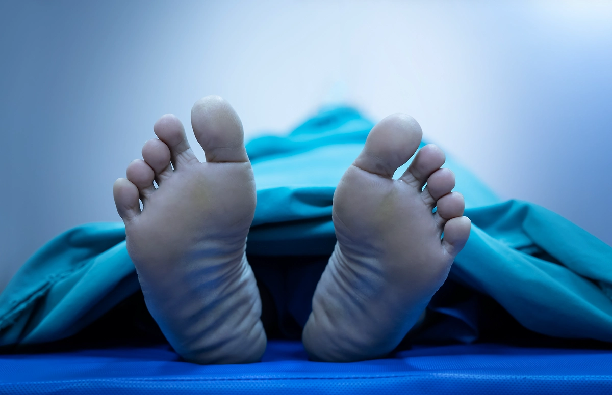 Обложка © Shutterstock / FOTODOM / charnsitr