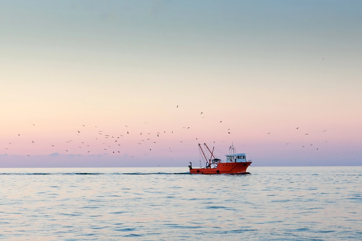 Обложка © Shutterstock / FOTODOM / Artem Mishukov