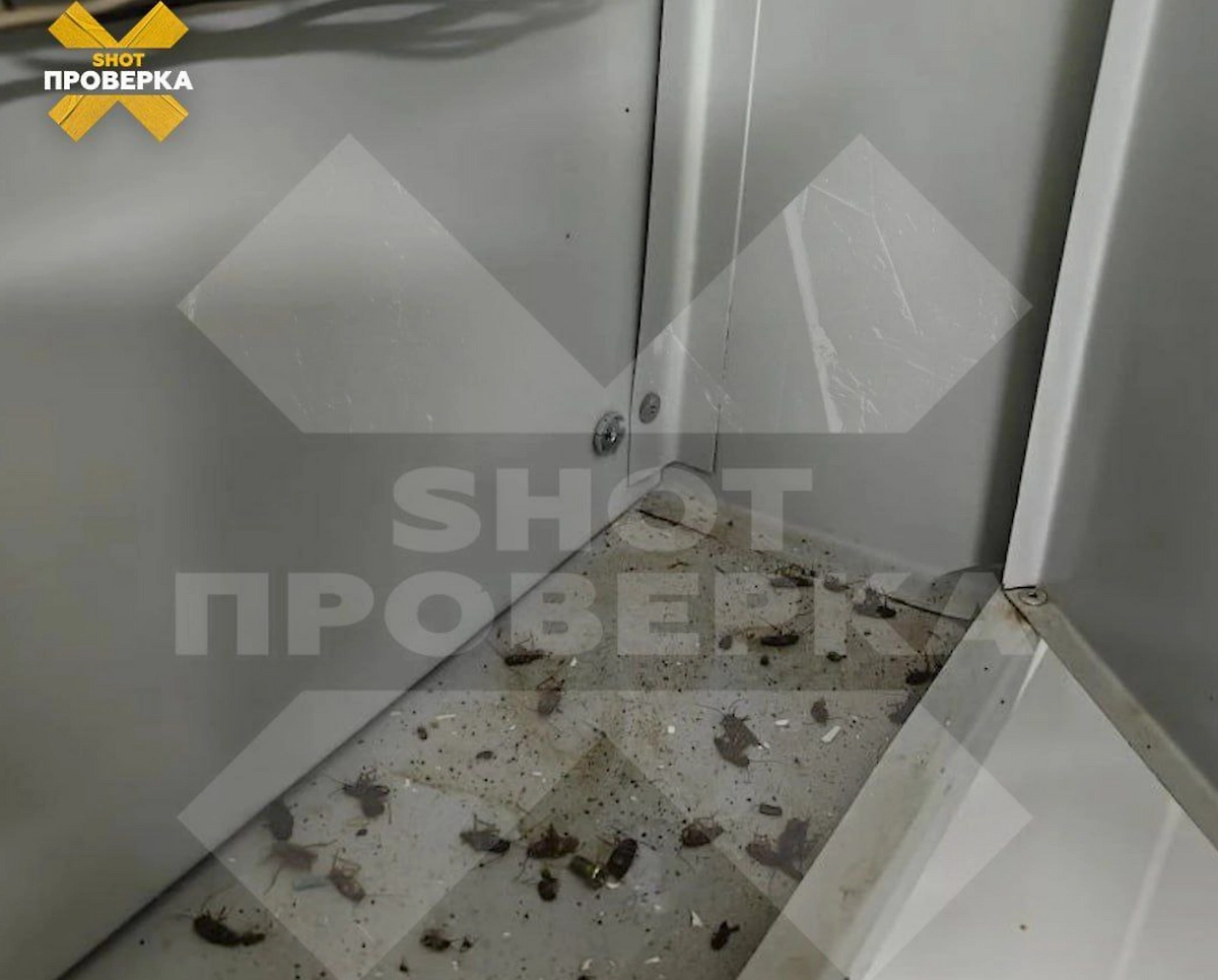 Компания «Русские традиции» готовит еду в антисанитарии. Фото © Telegram / SHOT ПРОВЕРКА