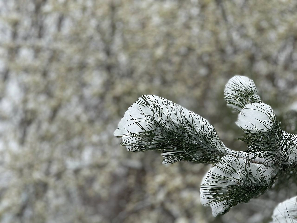 Обложка © Life.ru
