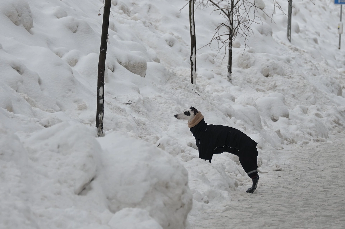 Обложка © Life.ru