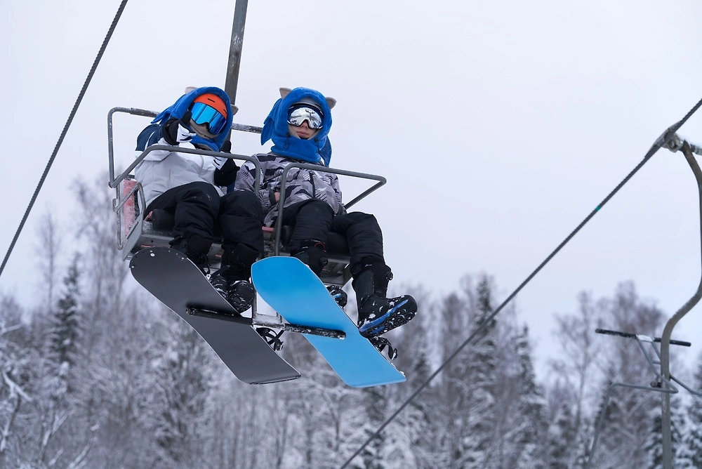 Обложка © Shutterstock / FOTODOM / ROMAN DZIUBALO