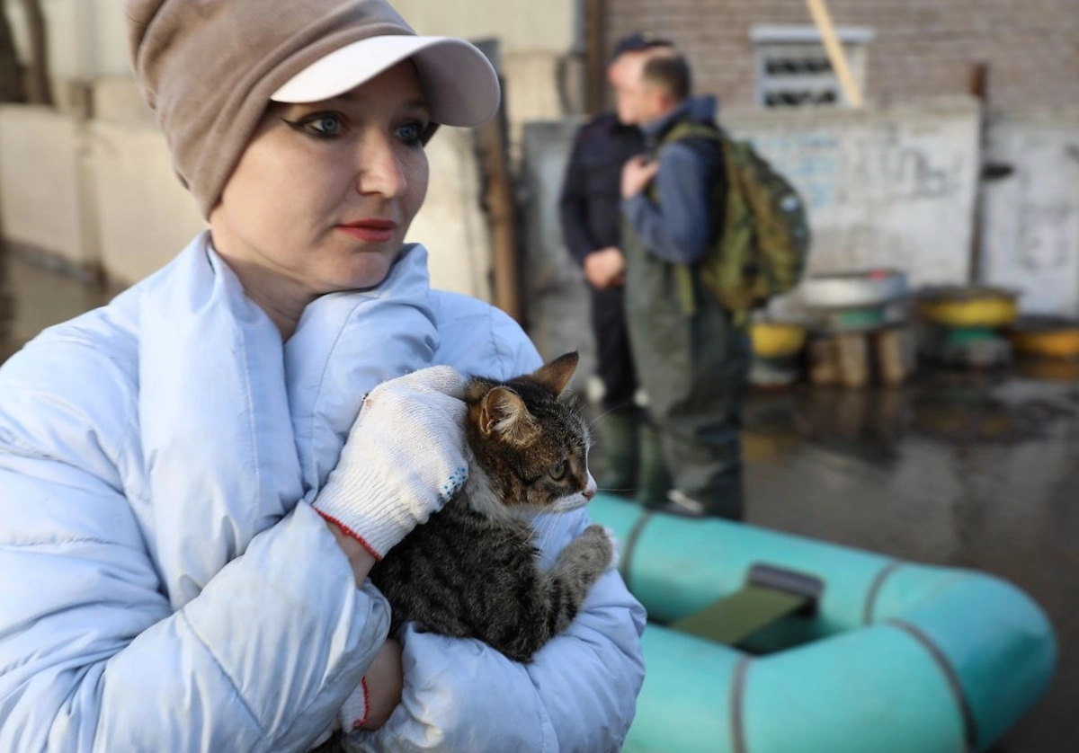 Обложка © Life.ru