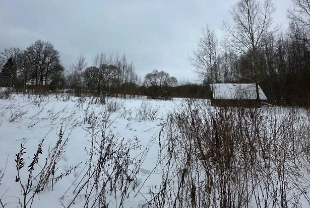 Деревня Веселуха. Обложка © realt.by