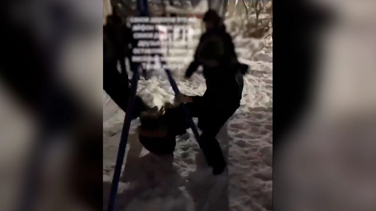 Подростки толпой избивают сверстника. Фото © VK / Говорят Мытищи