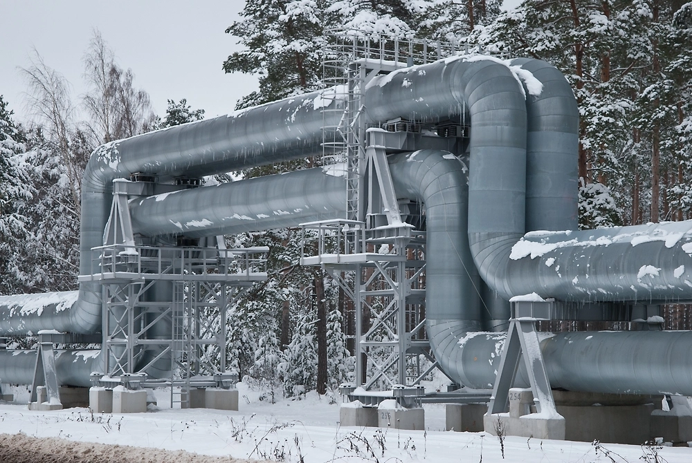 Обложка © Shutterstock / FOTODOM / fotokaleinar