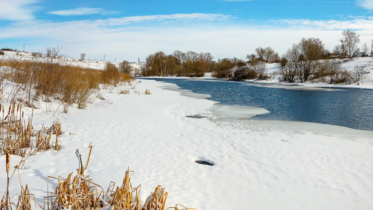 Народные приметы 1 марта: солнце, птицы и традиции первого дня весны. Фото © Shutterstock / FOTODOM / Valeriy Boyarskiy