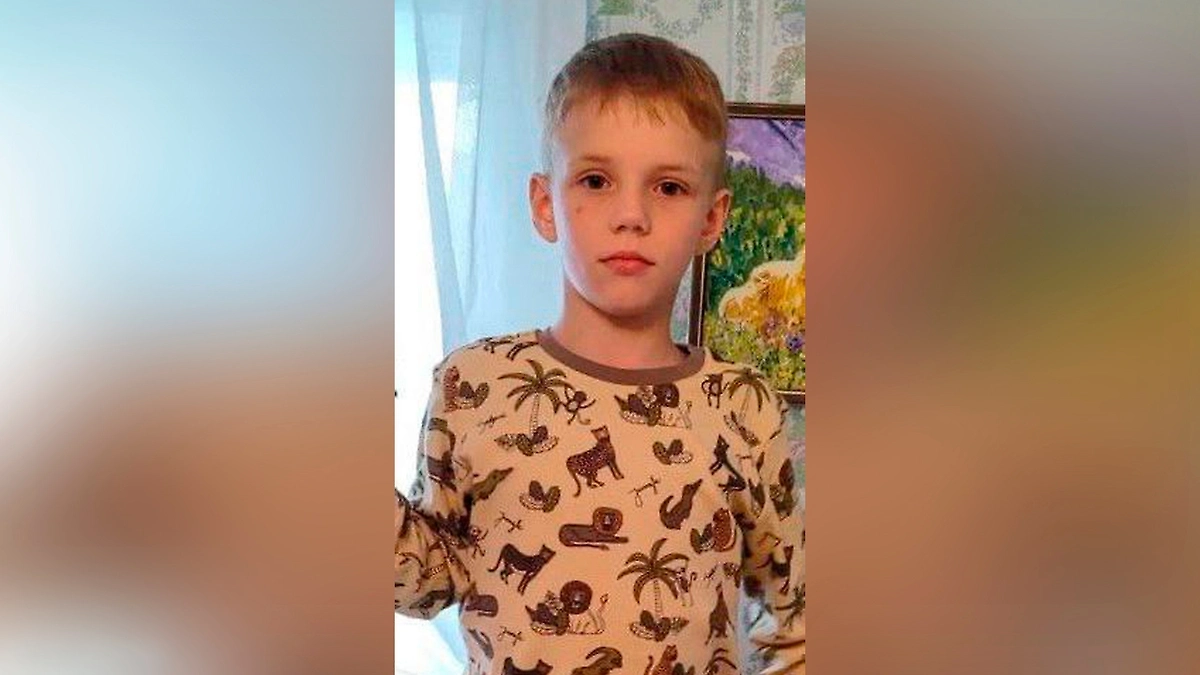 Пропавшего в Петербурге мальчика видели садящимся в машину к незнакомцу