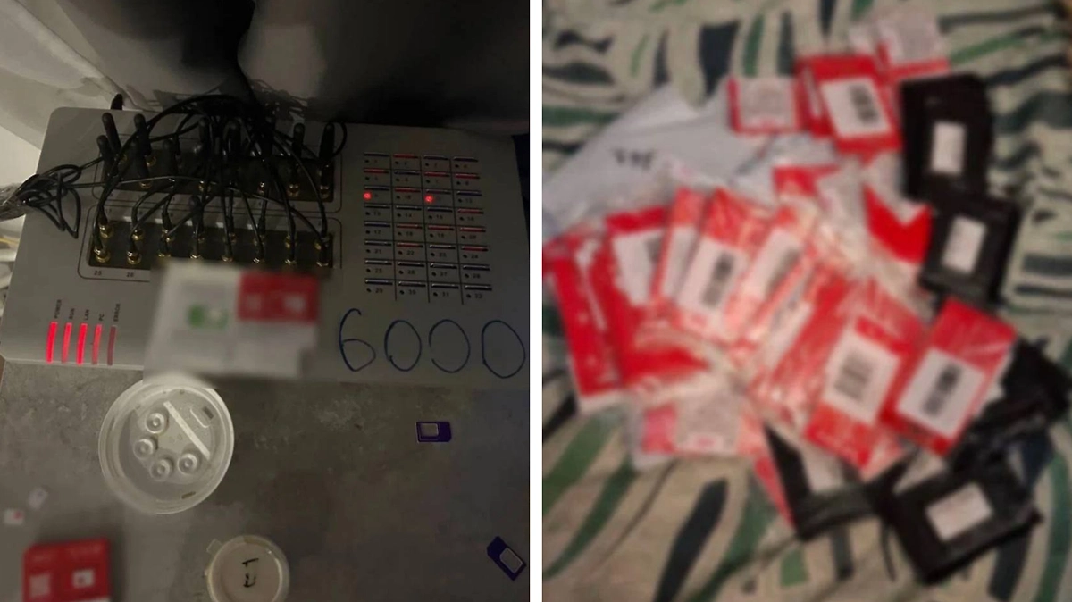 В Ленобласти арестовали пару, обслуживавшую мошеннические кол-центры Украины. Фото © Telegram / Петербургская полиция