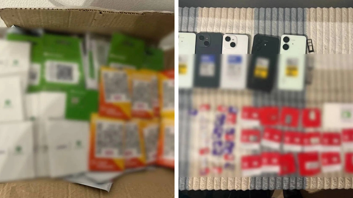 В Ленобласти арестовали пару, обслуживавшую мошеннические кол-центры Украины. Фото © Telegram / Петербургская полиция