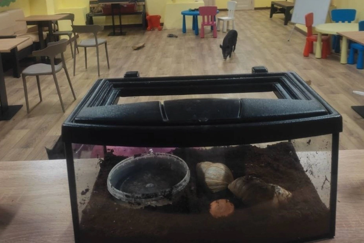 Фото © VK / Управление РСХН по Тверской и Ярославской обл.