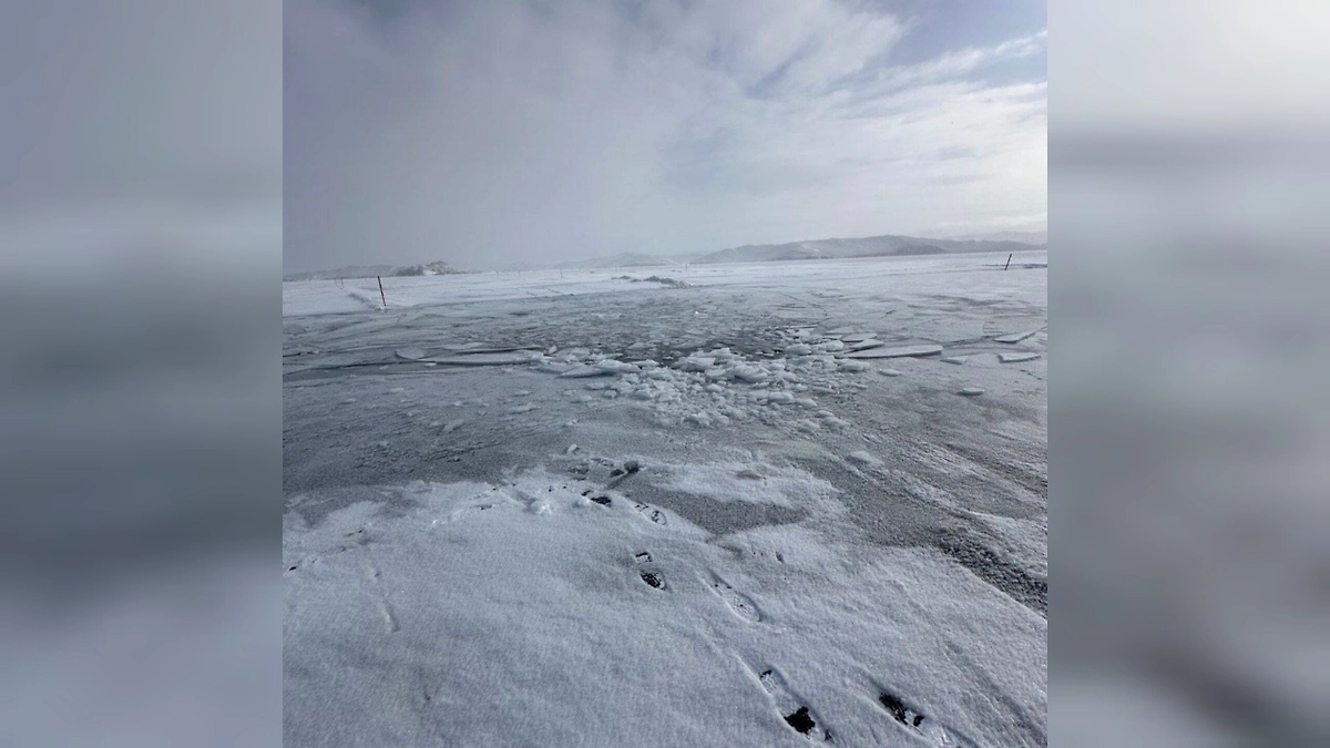 Фото © Telegram / ДСИО