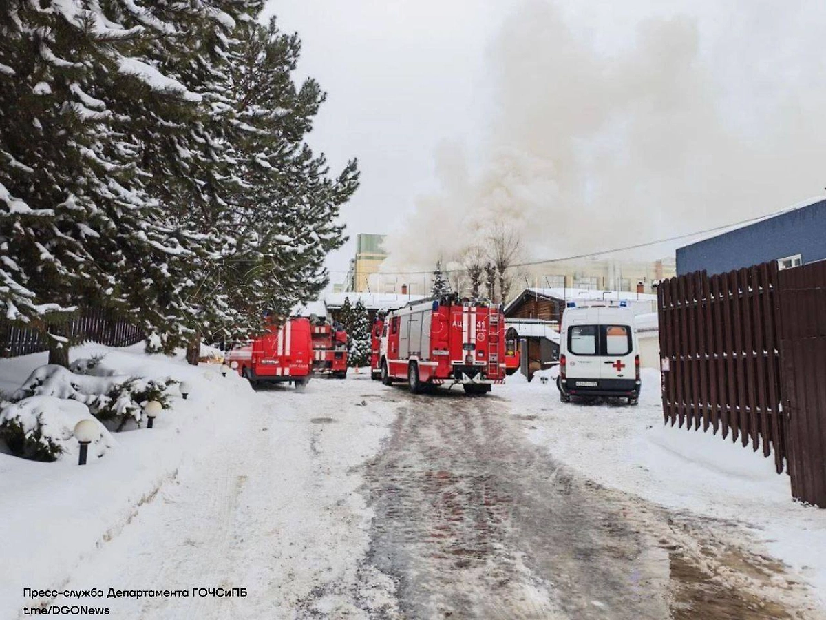В Москве вспыхнул пожар в «Таёжных банях». Фото © Telegram / ЧСтные новости Москвы