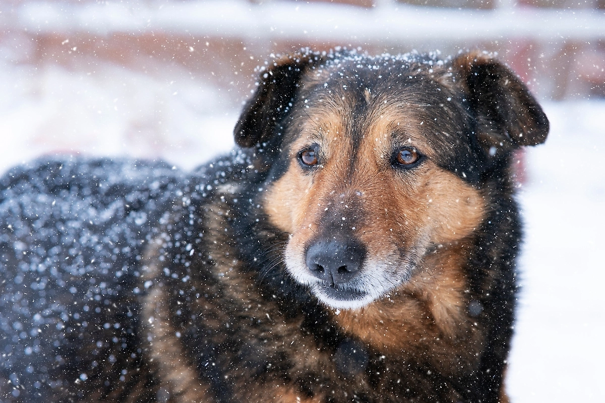 Обложка © Shutterstock / FOTODOM / EugeneEdge