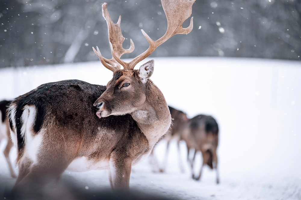Обложка © Shutterstock / FOTODOM / DRubi