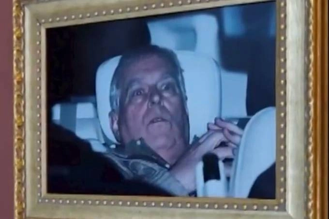 Обложка © X / Peter Stefanovic