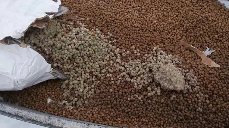 Заплесневелый корм. Фото © URA.ru