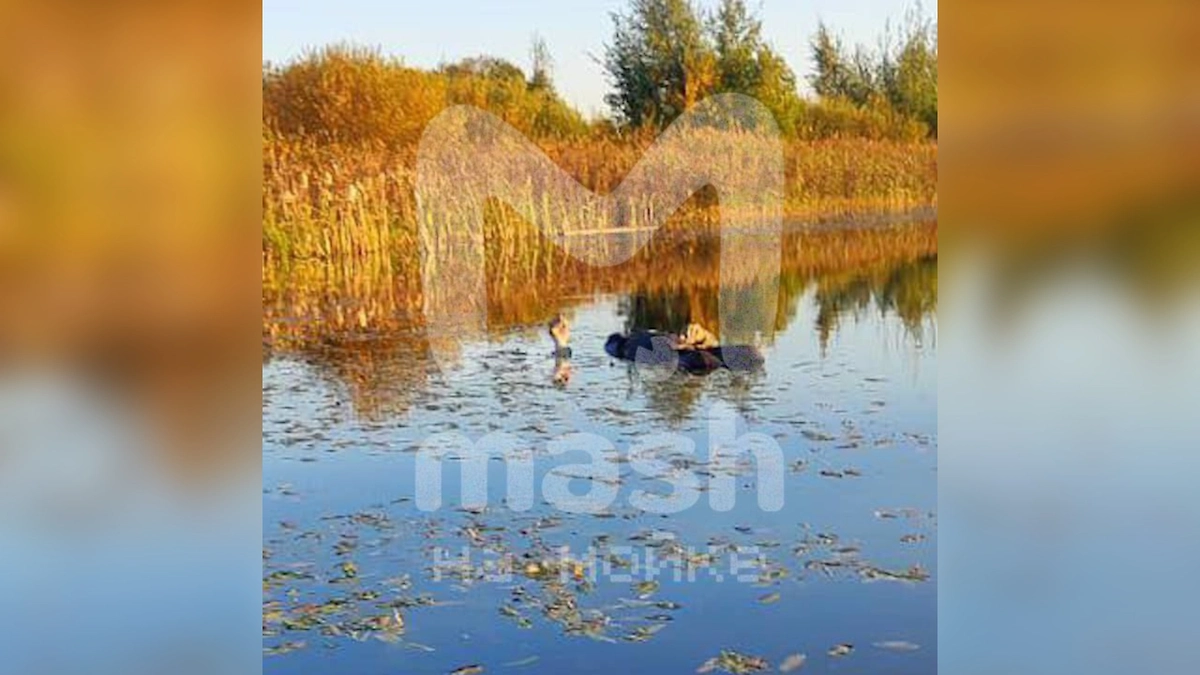 Тело с рюкзаком, набитым гирями, два года назад доставали из озера в Яльгелево. Фото © Telegram / «Mash на Мойке