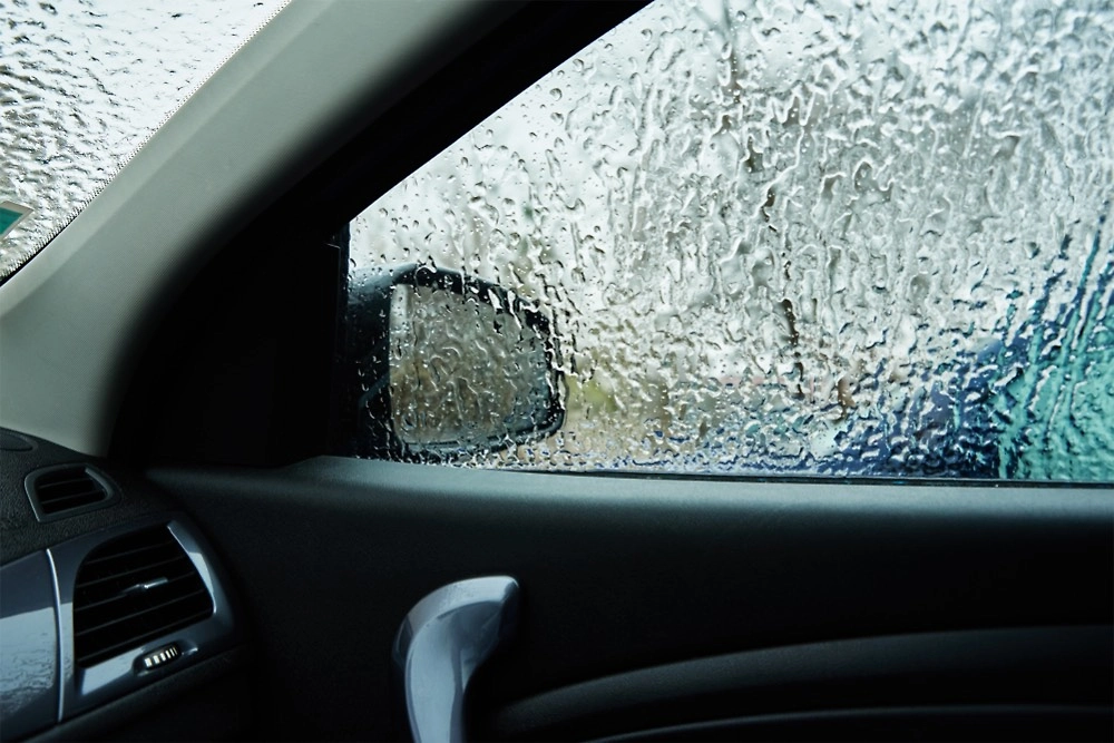 Обложка © Shutterstock / FOTODOM / Lazy_Bear