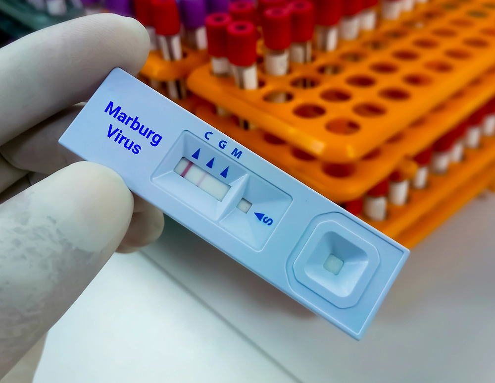 Немцы. Фото © Shutterstock / FOTODOM / Saiful52