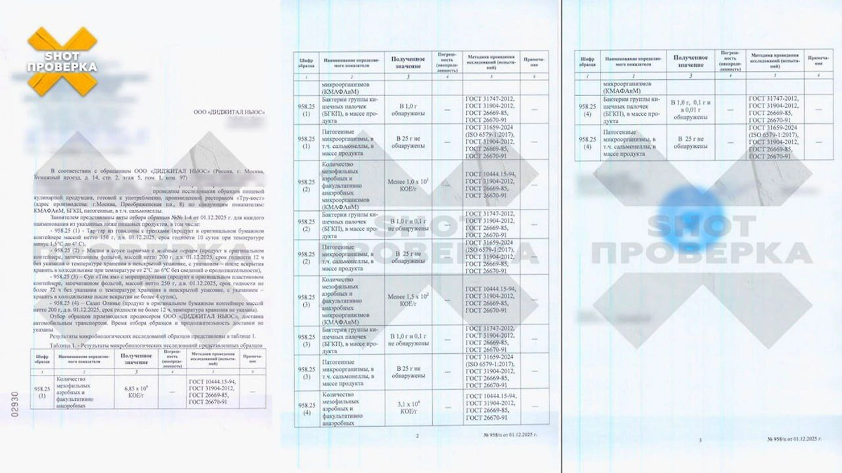 Микробное превышение почти В 70 РАЗ и кишечная палочка найдены в ресторане TRUE COST. Фото © Telegram / SHOT ПРОВЕРКА 