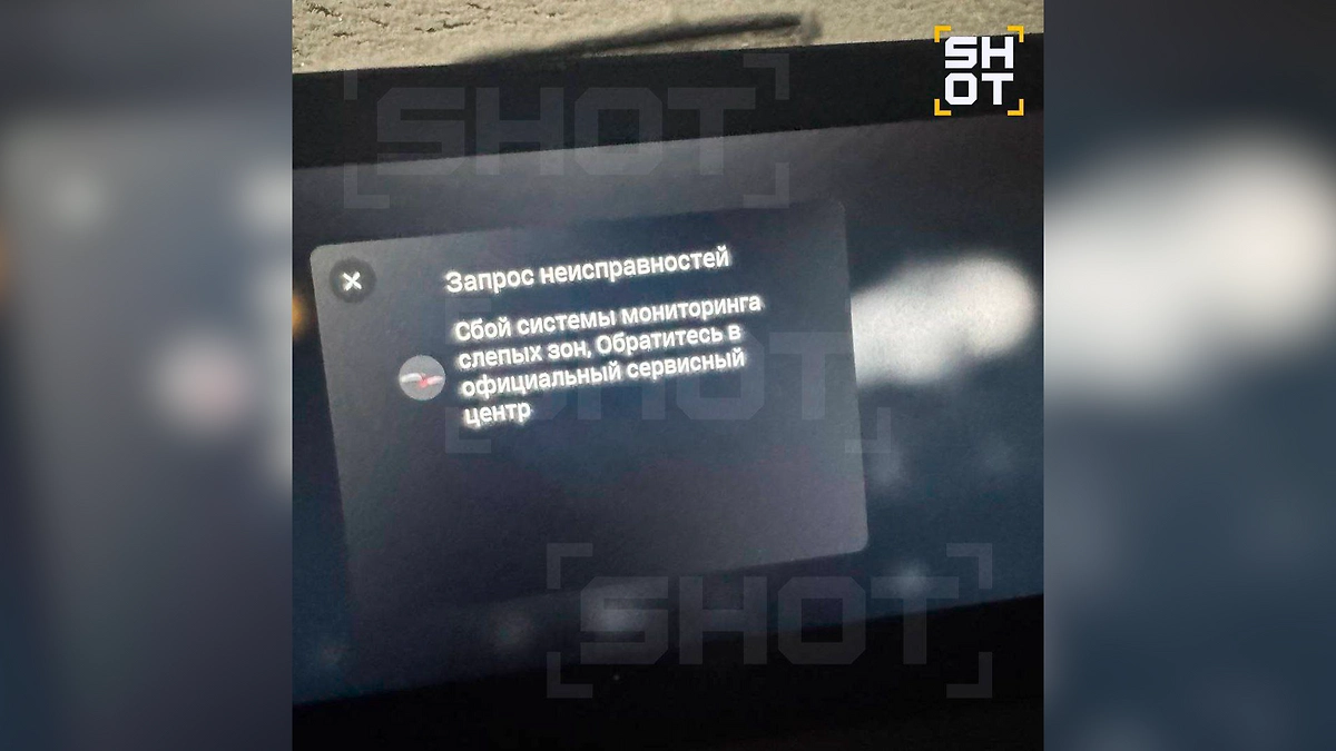 На баги жалуются владельцы всего ряда машин марки. Фото © SHOT