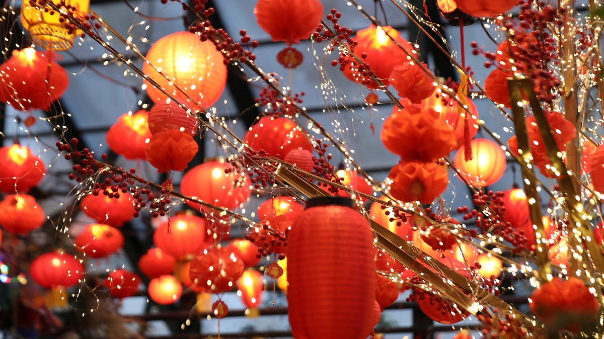 В ботаническом саду МГУ открылся Фестиваль Китайского Нового года