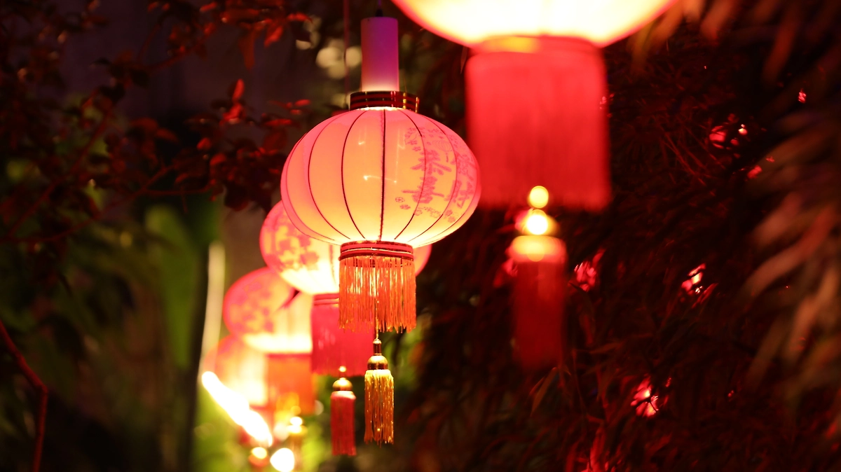 В ботаническом саду МГУ открылся Фестиваль Китайского Нового года