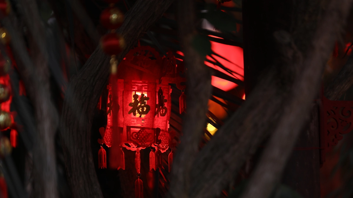 В ботаническом саду МГУ открылся Фестиваль Китайского Нового года