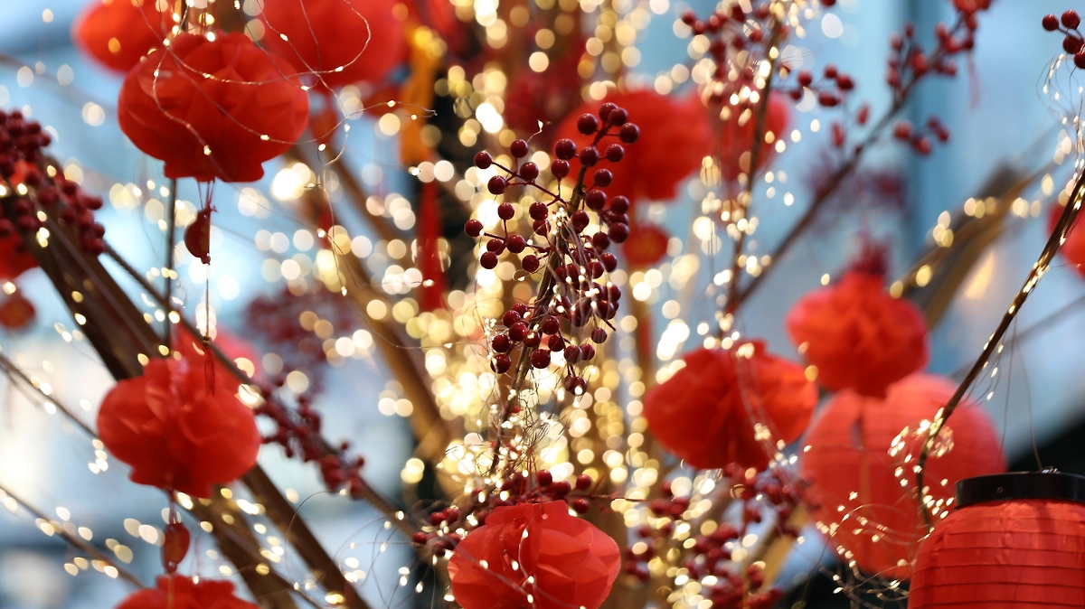 В ботаническом саду МГУ открылся Фестиваль Китайского Нового года