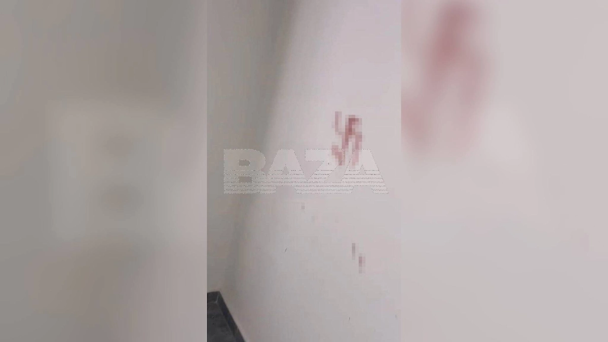 Подросток, напавший на общежитии в Уфе, является сторонником неонацистской идеологии. Фото © Telegram / Baza